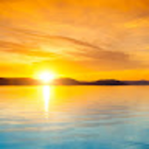 Meet your Posher, Holly - Picture 1 of 1